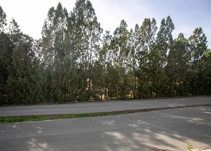 Palmove Renovated Meneou House * ラルナカ