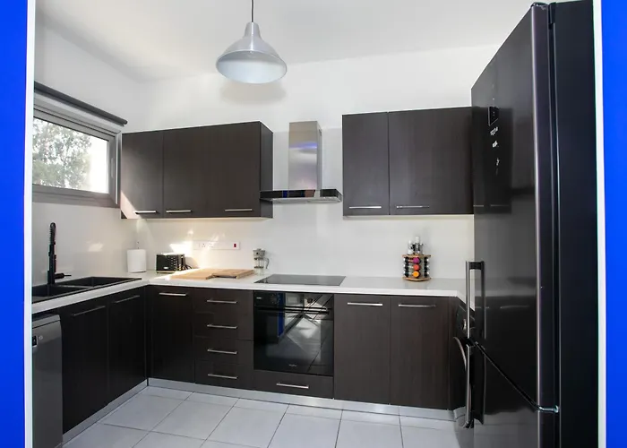 Palmove Renovated Meneou House 別荘 *